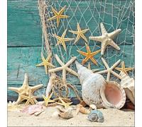 Starfish & Shells Towel 20 pc.