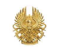 Starforged Warhammer 30K Legio Custodes Guilded Armourial Pin Badge Men's Fashion Jewelry