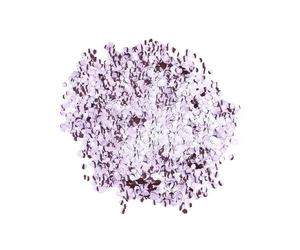 Stargazer Chunky Biodegradable Face Glitter Biodegradable Chunky Glitter Shaker Violet