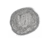 Stargazer Face Glitter Hologram Silver