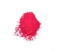 Stargazer Neon Eye Dust Pigment Neon Pink