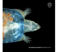 Stargazer's Assistan - Remoteness of Light [VINYL]
