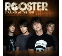 Staring At The Sun