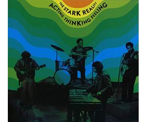 Stark Reality - Acting, Thinking, Feeling