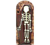 STARL CUT OUTS Skeleton Stand In Halloween, Multi-Colour