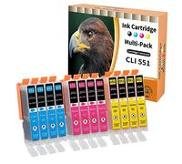 Starlet24 12x 551XL Printer Cartridges Compatible with Canon CLI-551 551XL for PIXMA iP-7200 iP-7250 MX-925 MG-5450 MG-5550 MG-5650 MG-5655 MG-6350 MG-6450 MG-6650 MX-725