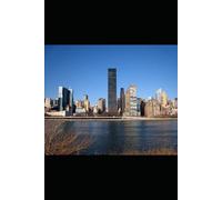 Starlight over New York: The New York power outage, and the starlit night, did it reignite their long-lost love?
