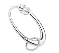 Starlight Y2K Metal Carabiner, Heavy Duty Shiny Star Keychain Belt Loop Accessory Matte Chrome Key Clip for Keys Bags & Wallets (Silver)