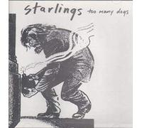 Starlings - Too Many Dogs