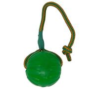 Starmark Swing and Fling Chew Ball Dog Toy - Single