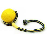 Starmark Swing N Fling Durafoam fetch ball Dog Toy, Large