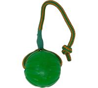 Starmark Swing and Fling Chew Ball Dog Toy - Single