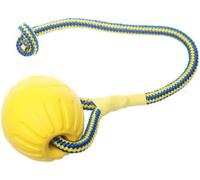 STARMARK SWING N FLING DURAFOAM DOG PUPPY EXERCISE PLAY TOY BALL