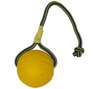 Starmark Swing N Fling Durafoam fetch ball Dog Toy, Large