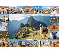 Starnberger Spiele - Llama puzzle - 1000 pieces - for children and adults - gift for llama and alpaca fans