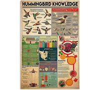 Starotore Hummingbird Knowledge Metal Signs Wall Decor Hummingbird Overview Infographic Posters Learning Guide Home Plaque Decor Classroom Room Office 12x17 Inches