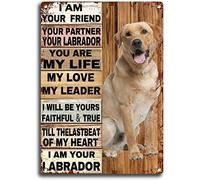 Starotore Vintage Metal Tin Sign Labrador Dog Metal Logo I am Your Friend I am Your Labrador Dog Retro Poster Plaque Wall Art Decor for Home Office Classroom Farmhouse Decor Gifts Sign 8x12 Inches