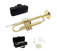 StarQuest TR250 Trumpet Set For Beginners & Students, Portable Hard Case, Mouthpiece, Cleaning Kit Includes Gloves & More, 460” Bore, Brass, Nickel-Plated Valves