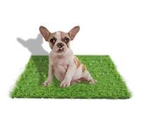 STARROAD-TIM 50 X 60 CM Artificial Grass Rug Turf for Dogs Indoor Outd