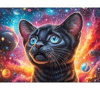 Starry Colorful Black Cat 1000 Pc DIY Jigsaw Puzzle Fantastic Beasts Puzzles for Adults Teens Hard Challenging Team Building Stress Reducing Autumn High-grade Rigid Cardboard 1000 PCS