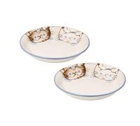 Starry Mart Minoru Touki Crystal Neko Cat Japanese Curry Plate, Blue, Ø22cm, H4cm, Set of 2