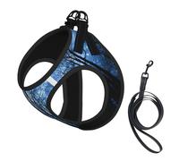 starry night sky print Dog Harness and Leash Set, Reflective Adjustable Puppy Vest for Small Medium Large Dogs, Cats