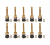 Starrypxl Heavy Duty Brass Valve Stems 10 Pcs Straight Clamp Tubeless Truck Tire Core Durable Reliable Performance