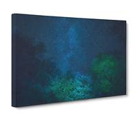 Stars Above A Forest In Canada Canvas Print | Gallery Wrapped 30mm Frame Wall Art | 30x20 inches | Ready to Hang | Abstract Space Picture | Living Room Bedroom Lounge Office
