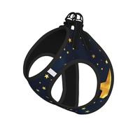 Stars Eastern Pattern Printing Dog Summer Harness With Leash Set,Adjustable And Reflective Step-In Puppy Pet Vest Harnesses