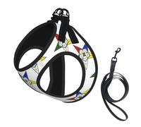 Stars Eastern Stars Print Dog Harness and Leash Set,Breathable Adjustable Escape Proof Vest for Dogs, Cats