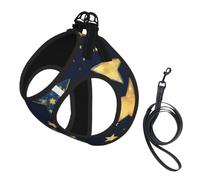 Stars Eastern Stars Print Reflective No Choke Pet Vest Harness,Adjustable Soft Padded Dog Harness With Easy Control Handle