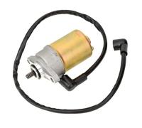 Start Motor Starter Motor For TaoTao For Jonway For Sunl For Roketa For Baja For Peace For Sports GY6 47cc 49cc 50cc Chinese 4-Stroke QMB139 Engine Scooter Starter Motor