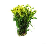 Startbuymore Flower Grass Sand Table Set, Sand Table Model Making Materials Shrubs And Flowers For Architectural Scale Scenes Railway Layouts And Miniature Diorama Crafting(Yellow)