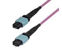 StarTech 3m (10ft) MTP/MPO Fiber Optic Cable, 12F Type-B, OS2 Single Mode MTP/APC Female Fiber Patch Cable, 9/125µm, OFNP Plenum, MTP-12 Fiber Jumper Cord