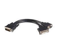 StarTech 8in DMS 59 to DVI and VGA Splitter Cable (DMSDVIVGA1)