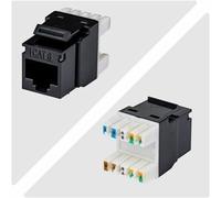 StarTech.com Cat6 Keystone Jack, 24-Pack RJ45 Ethernet Keystone Jacks, UTP Cat6 Wall Jack, 180-Degree 110 Punch Down, Black