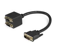 StarTech.com 1ft DVI Splitter Cable - M / F - DVI-D to 2x DVI-D Dual Video Split