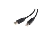 StarTech.com 6 ft USB 2.0 Certified A to B Cable - M/M