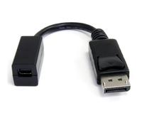 StarTech.com 6in DisplayPort to Mini DisplayPort Video Cable Adapter - M/F