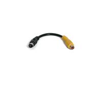 StarTech.com 6in S-Video to Composite Video Adapter Cable S-video cable