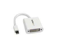 StarTech.com Mini DisplayPort to DVI Video Adapter Converter - White