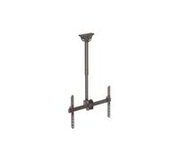 StarTech Flat-Screen TV Ceiling Mount - Short Pole - Full Motion FPCEILPTBSP