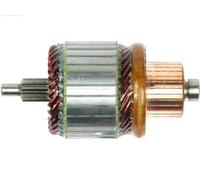 AS-PL SA2021 Armature, starter