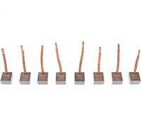 AS-PL SB3012(IKA) Carbon Brush, starter