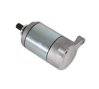 Starter Motor Engines Parts Silver Metal Motorcycle Electric Starter Engine Motor OEM : 192MR-1015000 LU018233 FOR Stels FOR ATV 500