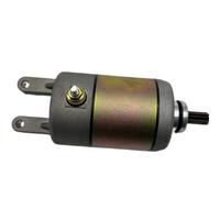 Starter Motor Fit For D300 G300 Lh 260 300 YP260 2.1.01.6000 4 Stroke ATV Quad Dirt Bikes Go Karts And Scooters