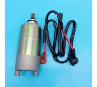 Starter Motor Fit For Loncin Jianshe JS250 250cc Puma Wild Mountin Lion ATV UTV