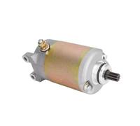 Starter Motor For 250cc Engine CN250 CH250 ATV Quad Go Kart