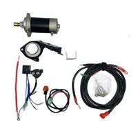 Starting Motor FOR F30HMHS L HWL MHL 2 Stroke 496CC T25 E30 25HP 30HP T30 ELECTRIC START KIT FOR OUTBOARD STARTER MOTOR FLYWHEEL CHARGE COIL Starter(No flywheel coil)