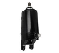 Starting Motor For Triumph For Tiger 800 XC For Street For Triple 675 R T1311112 T1314455 T1310060 Starter Motor 10 Teeth Starter Motor